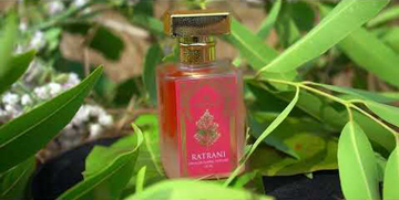 Ratrani Perfume